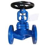 WJ41H Bellows Sealed Globe Valve