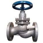 U41F Plunger Valve