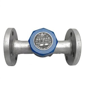 Thermodynamic Steam Trap Manufacturer — BS19H/BS49H Disc Type | Gaoshan Valves